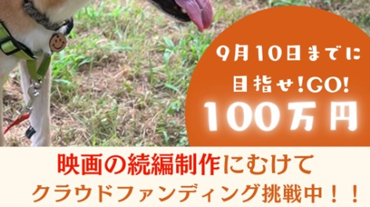 少しずつ目標を立てて進んで行きたいと思います！