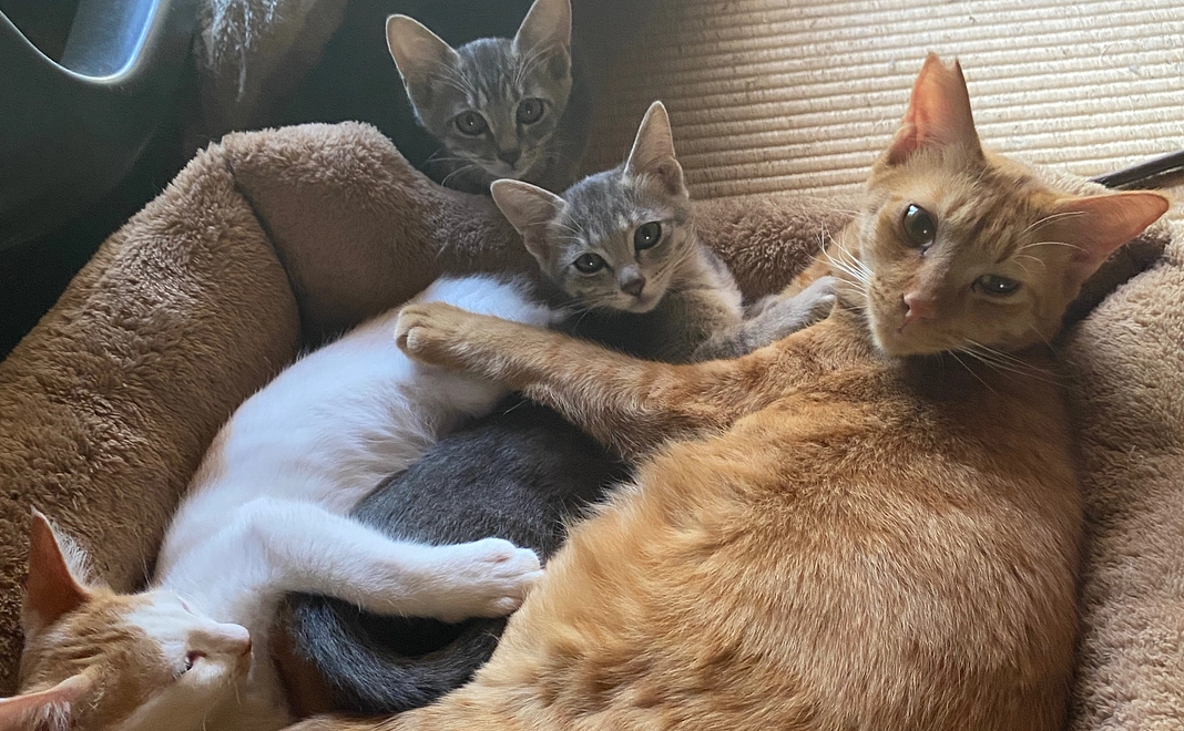 30000円ご支援、感謝のメッセージ