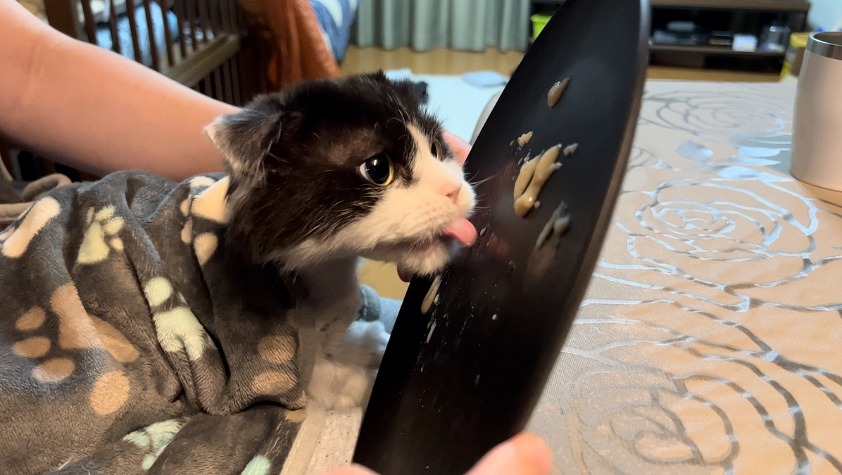 11/16〜17のテオくんの様子