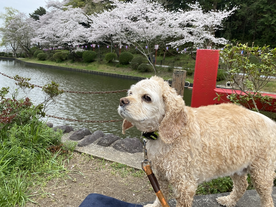 抗がん剤治療行ってきました