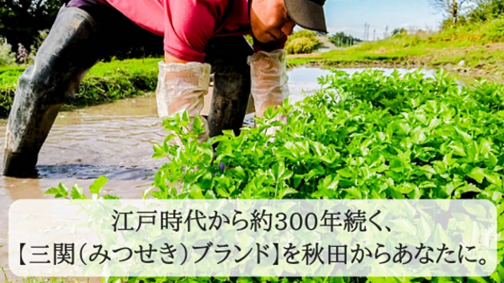 秋田の若手農家の起業を応援し、あなたも農園オーナーに！