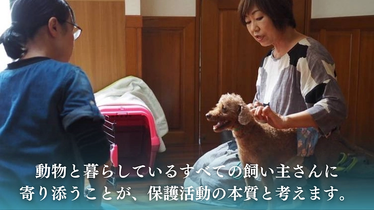 老犬、保護犬でも安心できる【啓発型トリミングサロン】を作りたい！ 6枚目