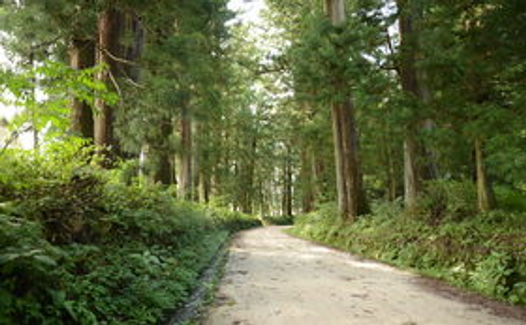 【お気軽支援コース】ボカロ曲動画完成のためにご支援お願いします