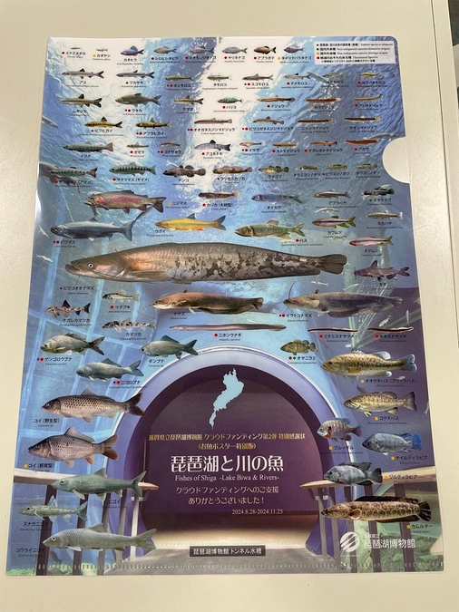 特別感謝状（お魚ポスター特別版クリアファイル）を郵送しました！