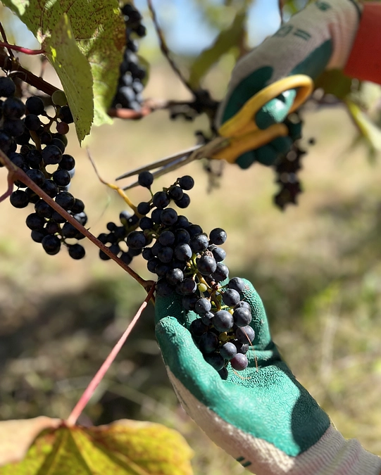 SEIZE THE DAY「THE WORLD」Report-28