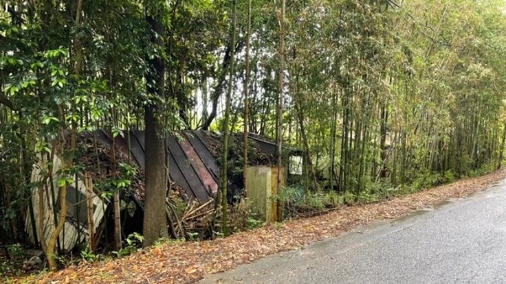 鉾田市青山地区竹藪解消プロジェクト