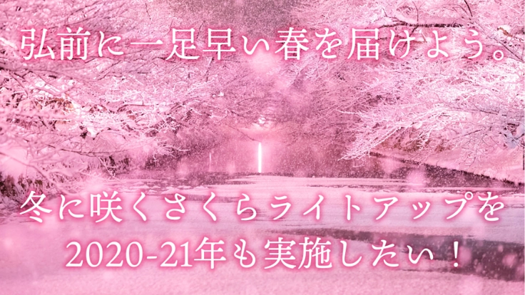 「冬に咲くさくらライトアップ」は弘前を応援!一足早く春を届けたい!