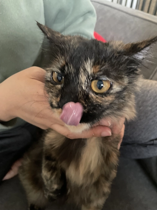 投薬期間終了！