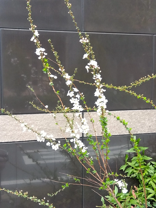 本日第23回目21888円のご支援金を頂戴致しました🙌💞