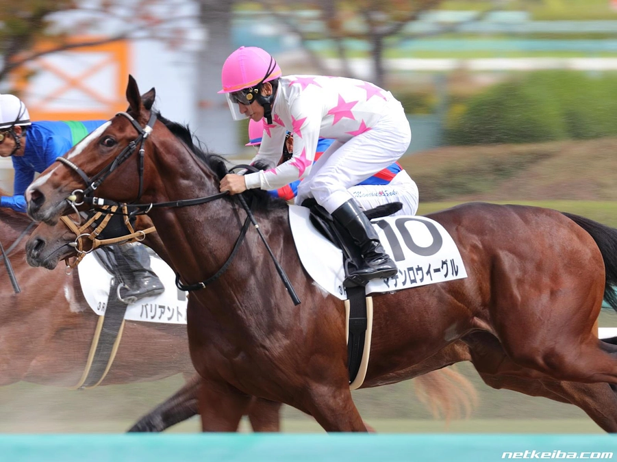 マテンロウイーグルを引き取り準備中です