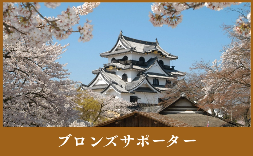 企業様向け｜ブロンズサポート