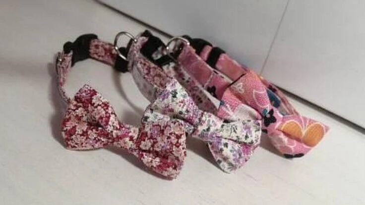 ハンドメイドの猫用首輪を寄贈して保護猫たちにずっとのおうちを！