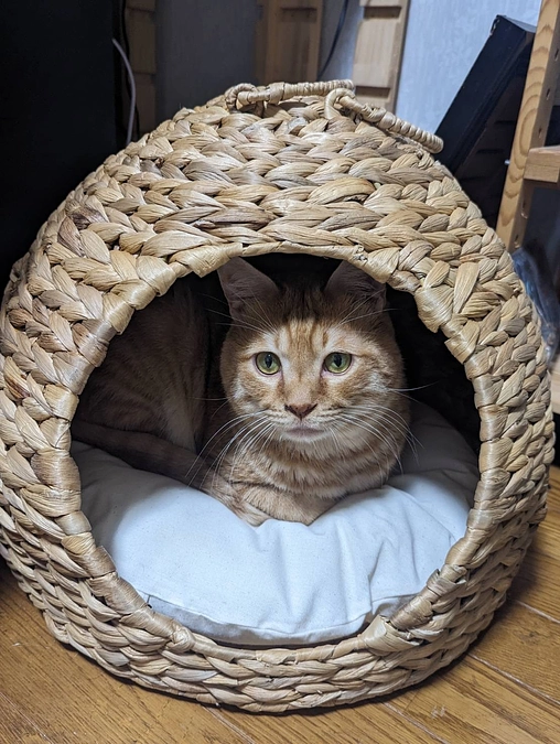 生涯の素敵な家族の元へ……😭💕