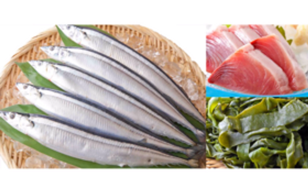 気仙沼三昧!! 海の幸3点セット