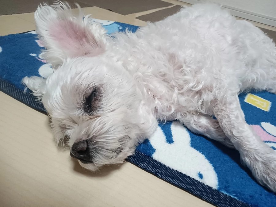 9月、2年検診。