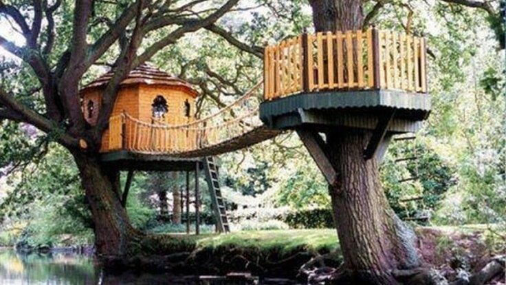 ツリーハウス建設資金