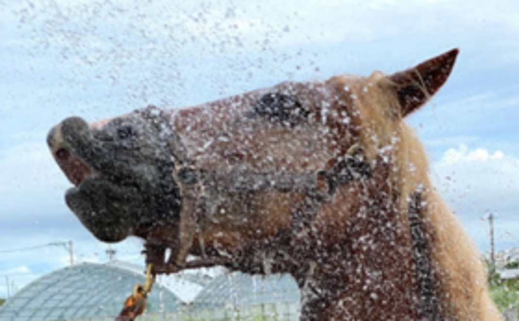 完成まであと少し!【FBグループ招待】