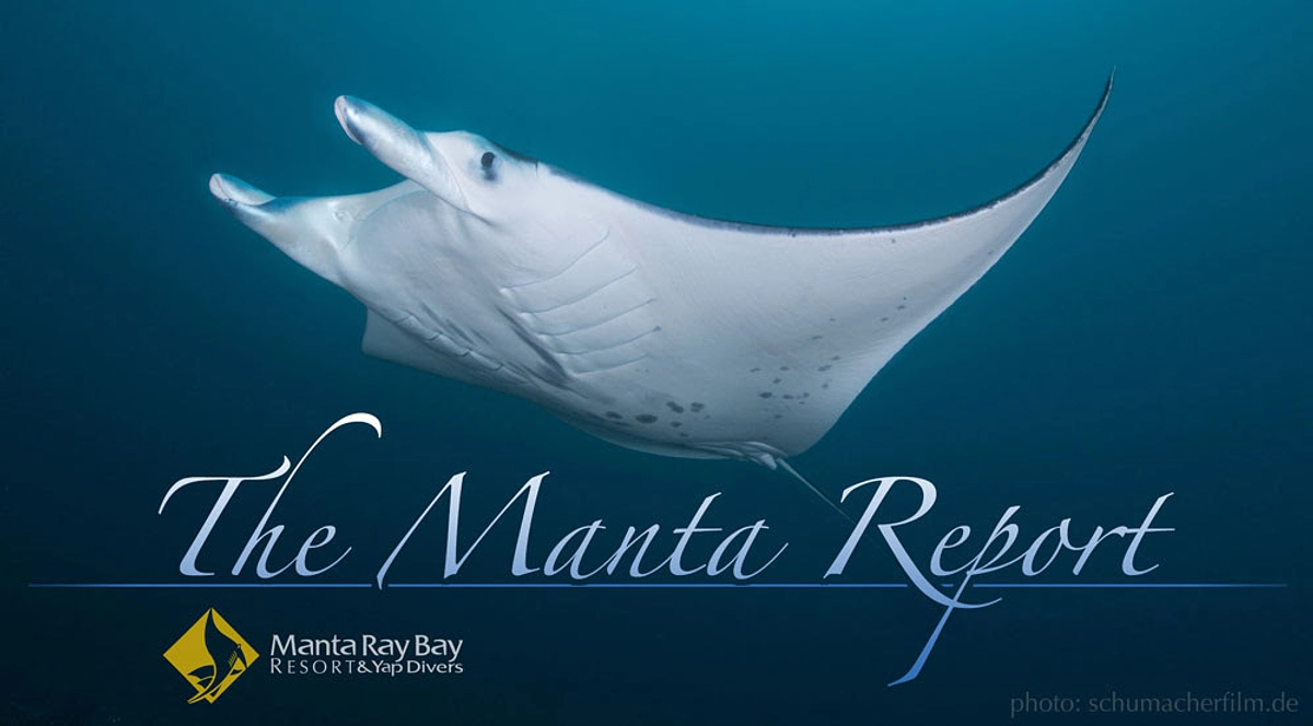 マンタリポートを追加しました。