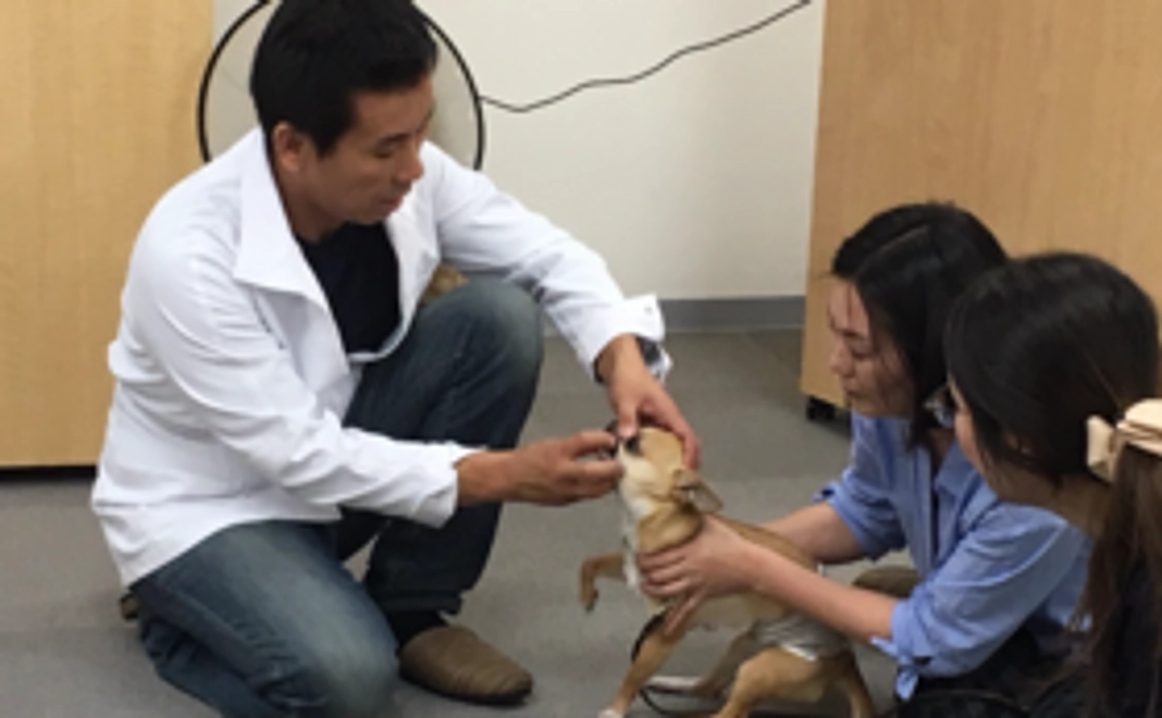 ＜選べるセミナーコース＞あなたの大切なペットと生きていくために受講しませんか？