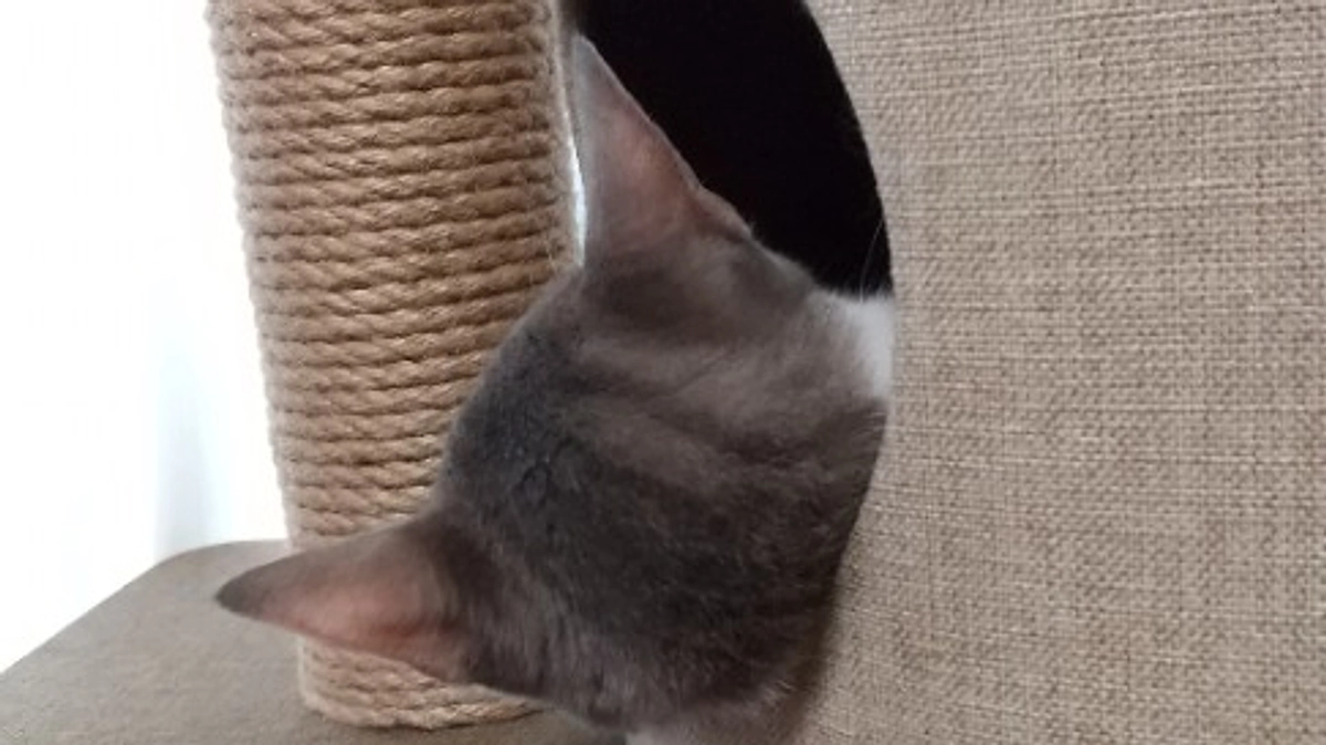 ラストスパート！