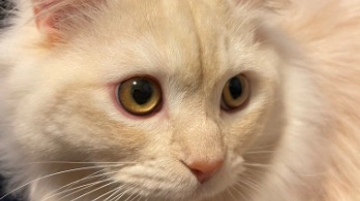 今日のトキ☀️☔️