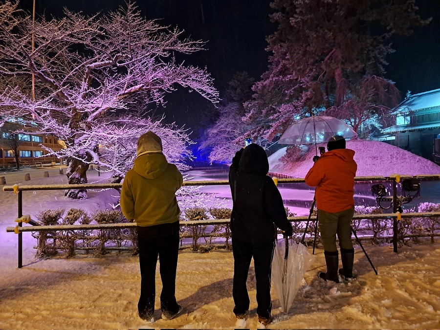 久々にいい見頃が訪れました！！