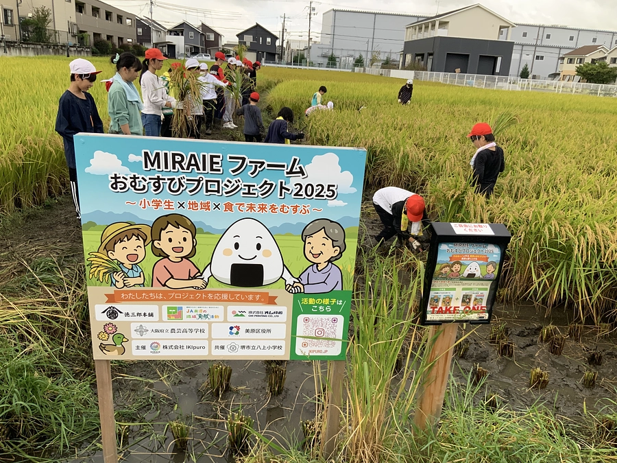 【第11回 活動報告】どろんこ笑顔で収穫！5年生が稲刈りに挑戦しました🌾🍙