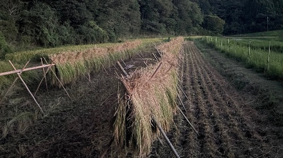 目標達成＆ネクストゴールを目指します！