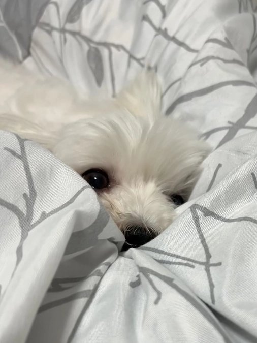 ご支援者様が11名様になりました🎊