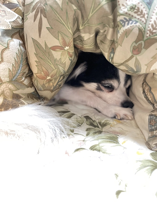 痩せている気がします😰