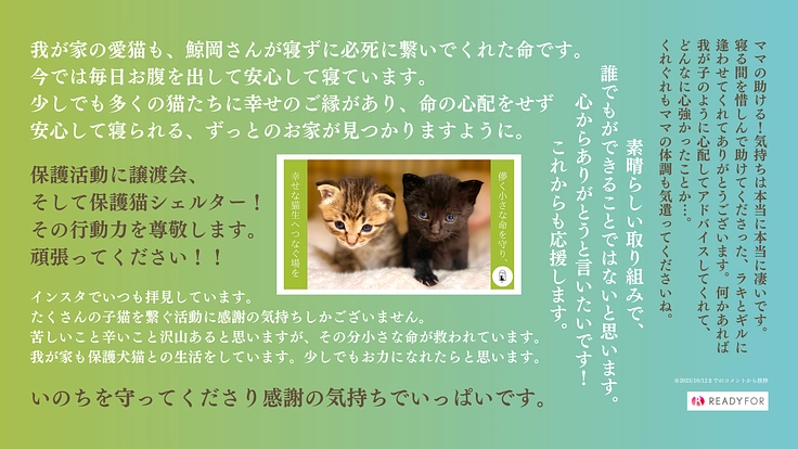 生後間もない乳飲み子の小さな命を繋ぐ！ 譲渡型保護猫ハウスの開設へ 2枚目