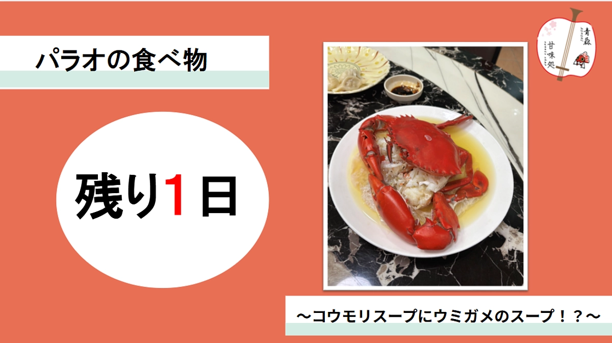 パラオの食べ物　～コウモリスープにウミガメのスープ！？～