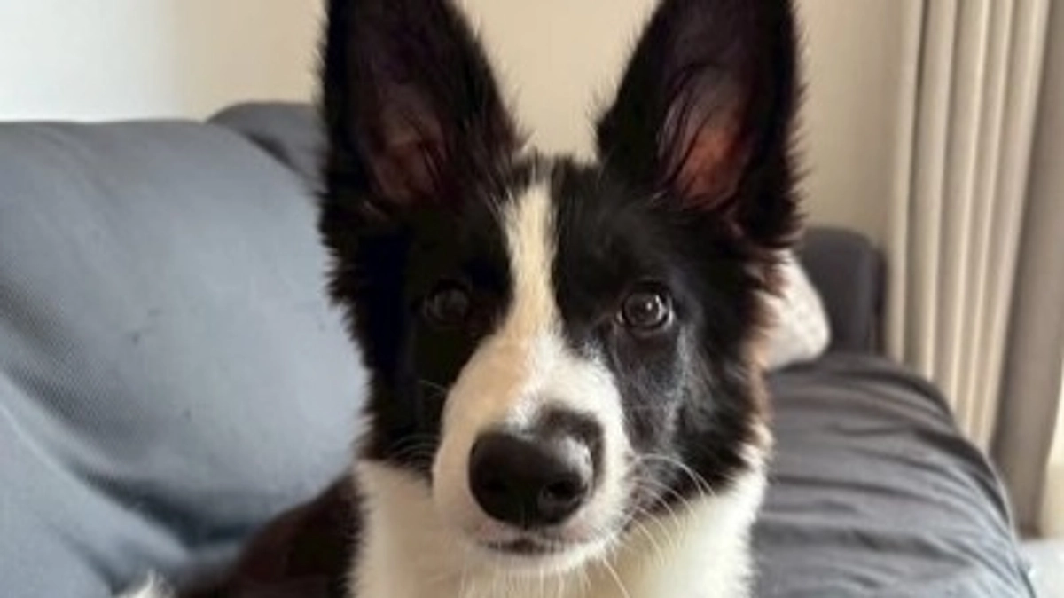 7月の収支報告と、継続寄付をしていただいている皆様へお知らせです