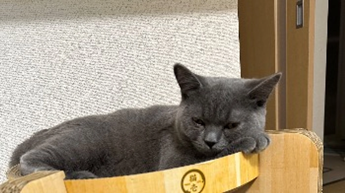 クラファン終了まであと3日