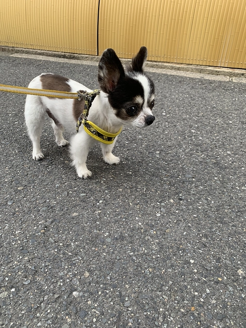 活動報告30回目突破🥹✨