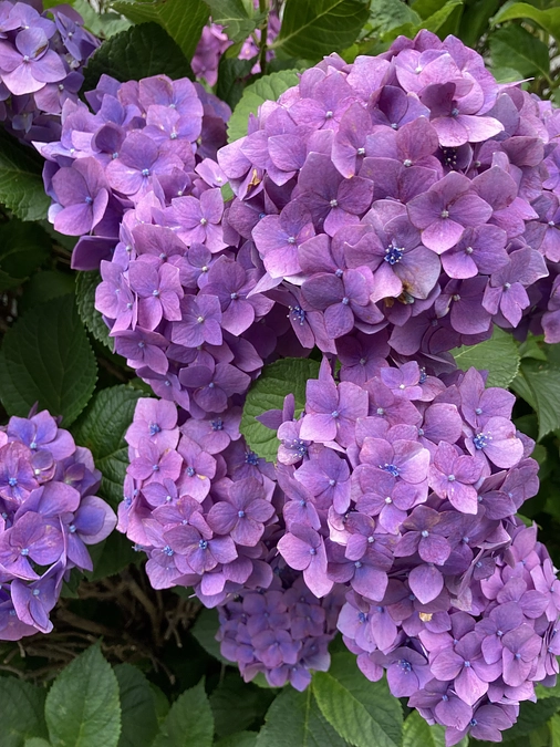 【プラハ出発まであと27日！Vol.11 2023年　チェコ世界大会への道⑥（全国大会の切符） 】