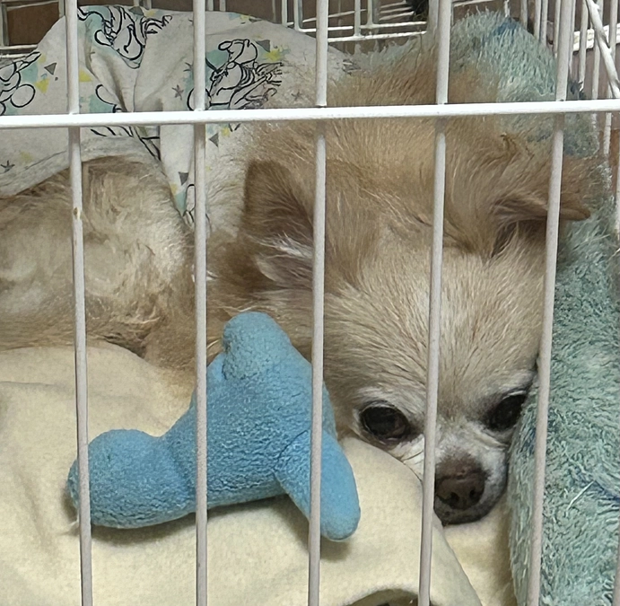 あと21時間となりました！お力添えを宜しくお願い致します🙇‍♀️