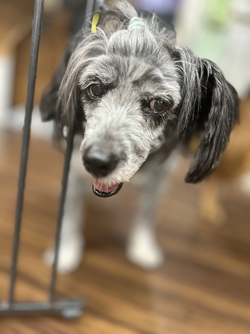 3つのリターンにつきまして