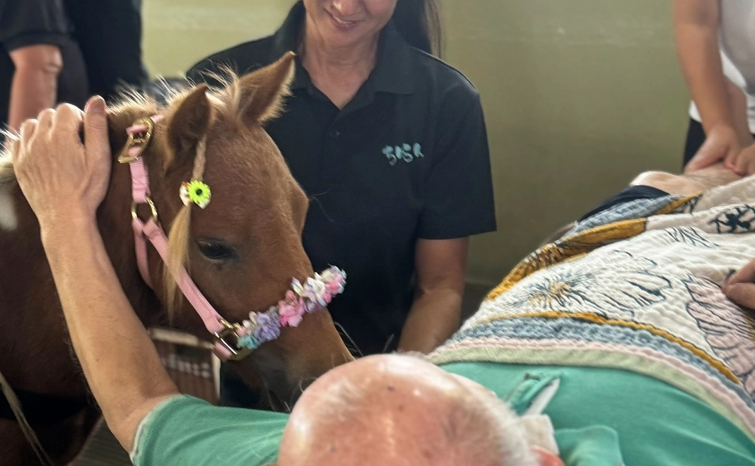 【法人向け】 スポンサー月150,000円コース