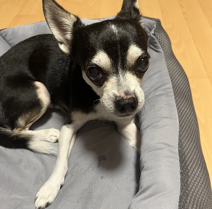 クラウドファンディング残り12日‼︎