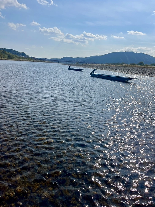 本日最後の四万十川落ちあゆ調査です。