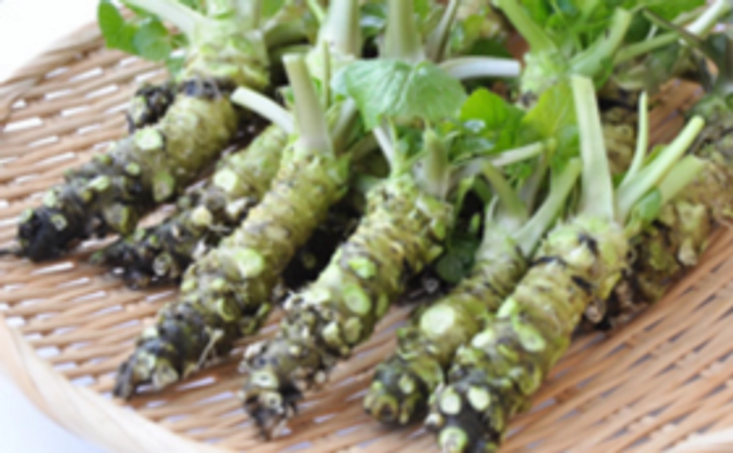 【知って応援コース】1年の間、毎月レポートをお送りいたします