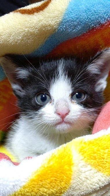 4歳になりました🎉