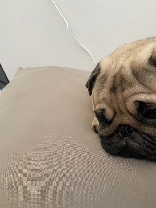 目標額の30％に到達しました。ご支援・拡散本当にありがとうございます。