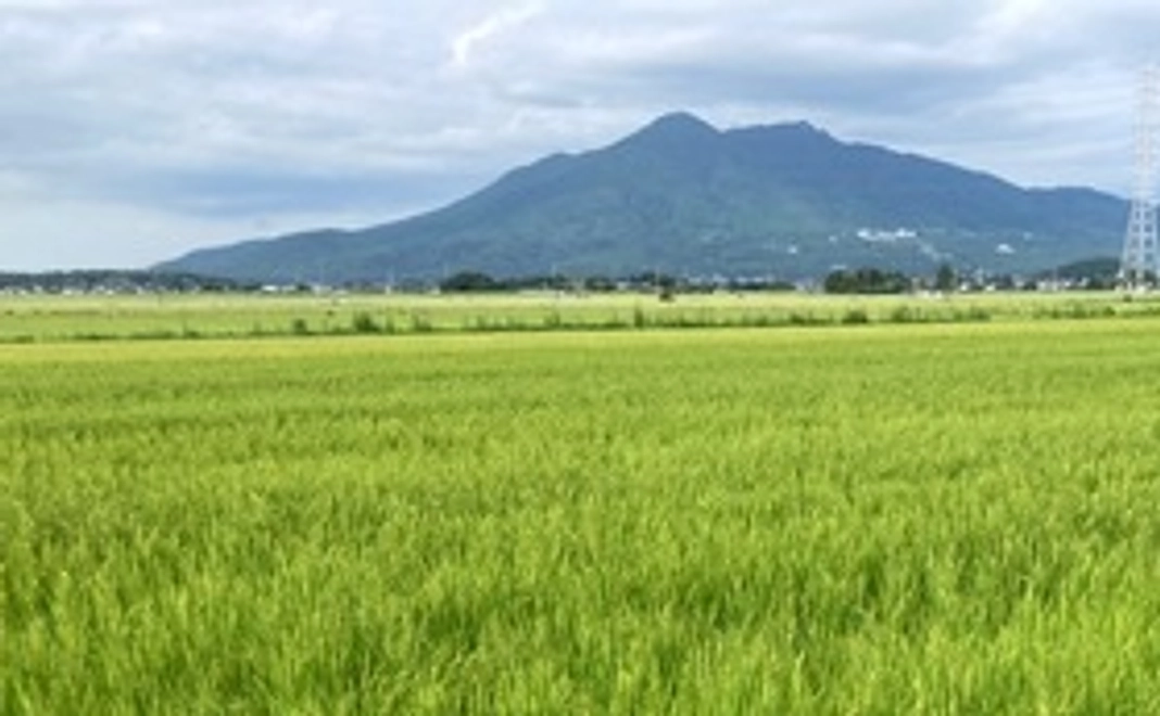 2022年産新米「コシヒカリ」精米１㎏