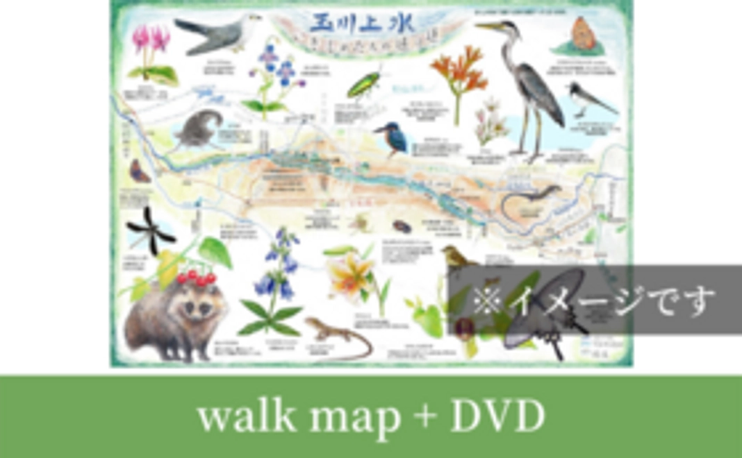 ウォークマップ & DVDコース