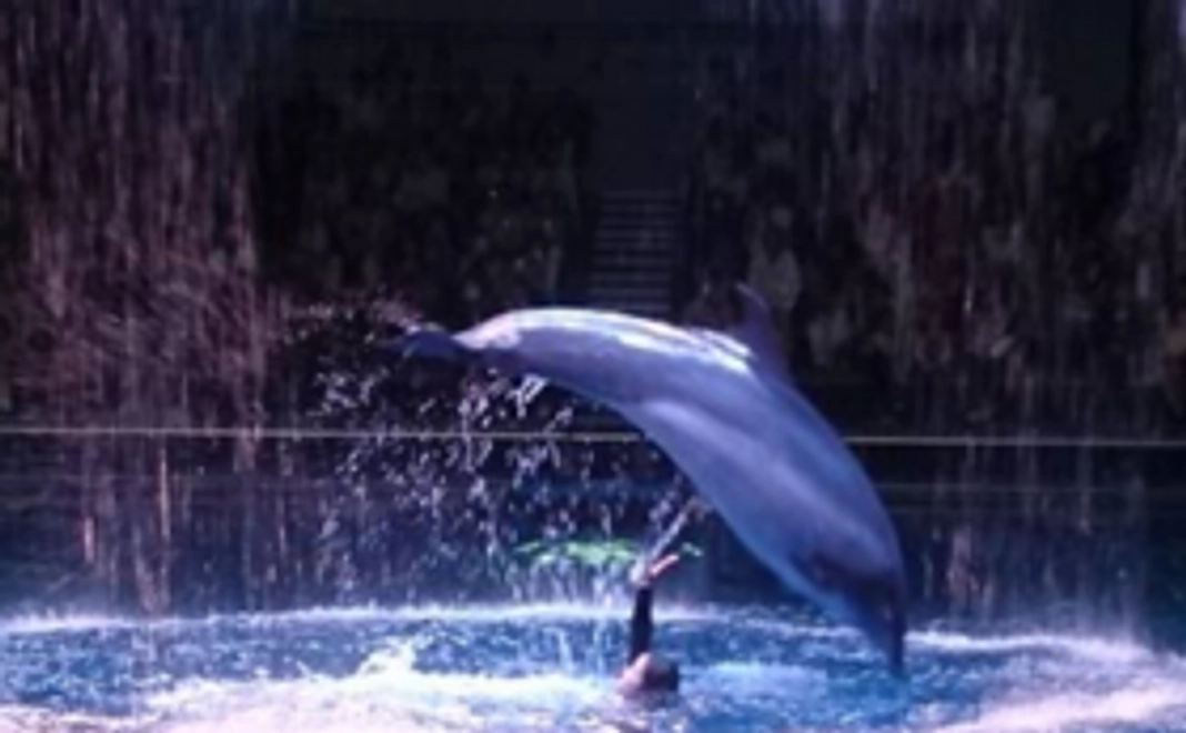 【遠方の方向け】博多の名産品コース