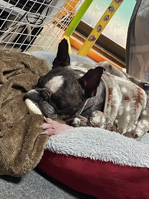 応援して頂いた、皆様へお知らせ。