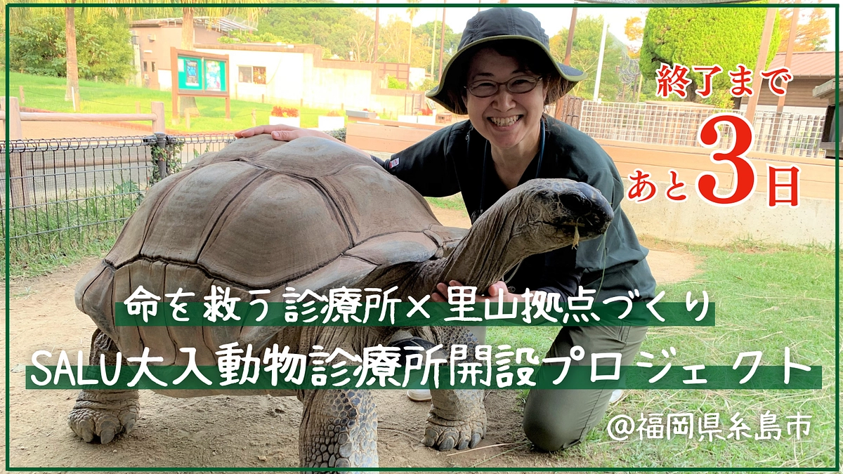 残りあと3日となりました！沢山の応援メッセージありがとうございます！