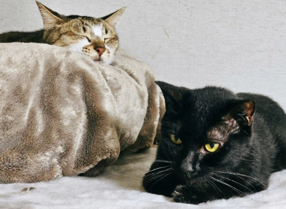 ★ 1年間見守ってくださりありがとうございました！